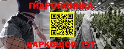 apvp Гай