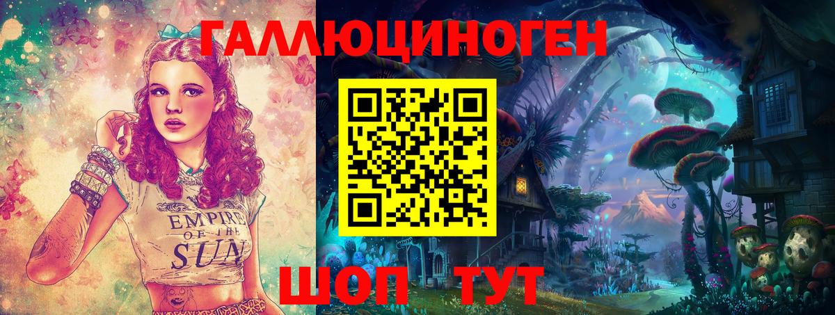 Краснодар  Галлюциногенные грибы прущие грибы  Вход с VPN  Галлюциногенные грибы GOLDEN TEACHER 